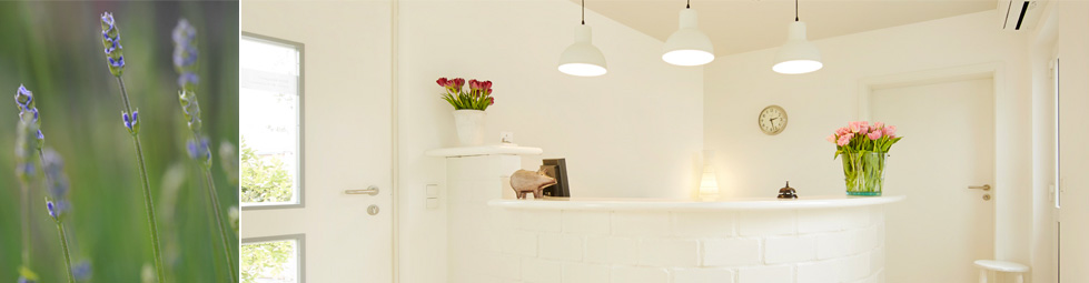 Willkommen bei Dr. Petra Schmelz